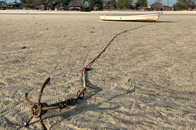 Sunrise Beach Walk With Picnic Breakfast Activity - The Sum Up