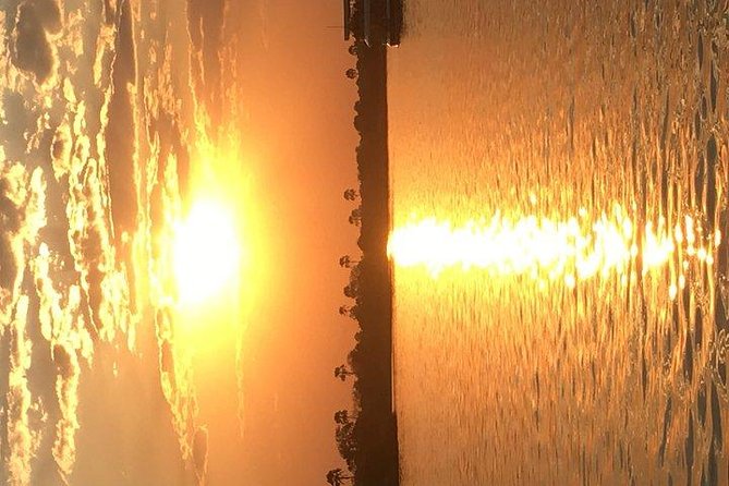 Sunset Cruise on the Zambezi River - Cruise Highlights