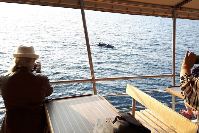 Sunset Dolphin Watching Boat Tour From Vrsar - Directions