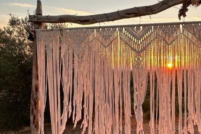 Sunset in the Sardinian Olive Grove With Drinks - Cancellation Policy