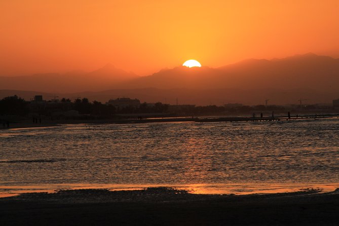 Sunset Trip - Trip Overview