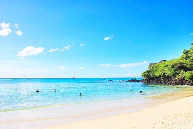 Swim With Wild Dolphins and Visit 4 Beaches in the North - Tour Duration and Group Size