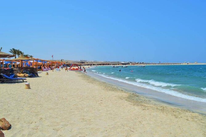 Swimming With Dugong & Turtles in Abo Dabab Marsa Alam :Hurghada - Tour Details