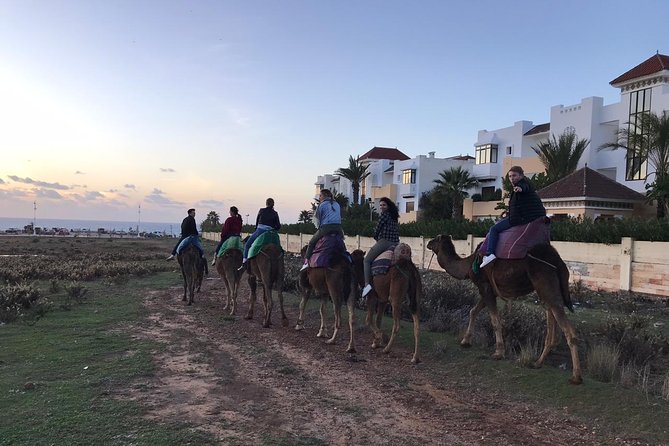 Tangier Private Tour & Camel Ride (Sightseeing & Walking Tour) - Additional Tour Information