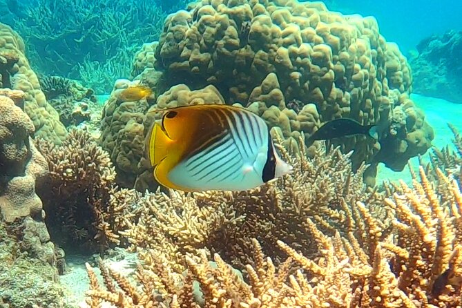 Tanikely Marine Park and Nosy Komba Private Guided Tour - Cancellation Policy Information