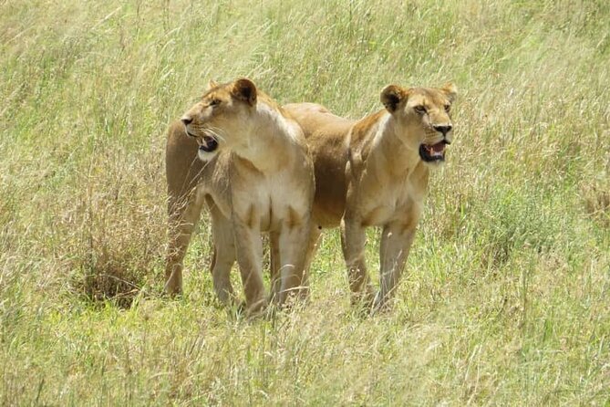 Tarangire, Ngorongoro, Lake Manyara 3-Days - Exclusions