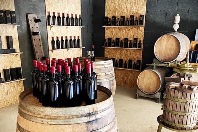 Tasting of Vernaccia, Chianti and Extra Virgin Olive Oil - The Sum Up