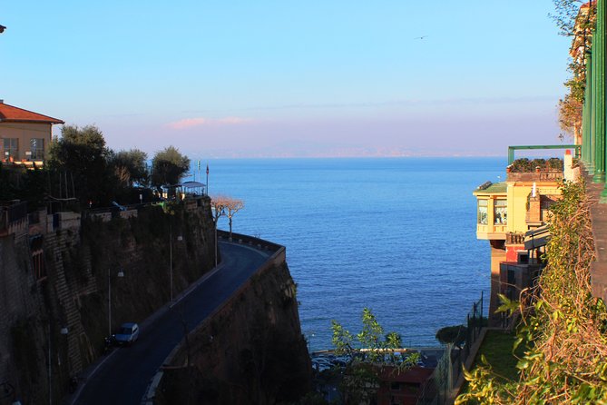 The Best of Campania in 2 Days: Amalfi Coast, Pompeii, Herculaneum & Vesuvius - Day 2: Mount Vesuvius Adventure