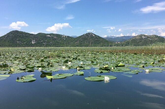 The First Chapter of Montenegro - Private Tour - Pricing Information
