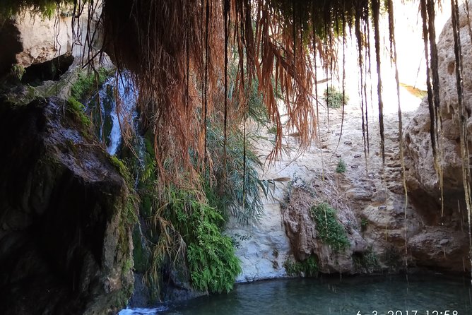 The Judean Desert, the Dead Sea and Masada - Pricing and Reservation Details