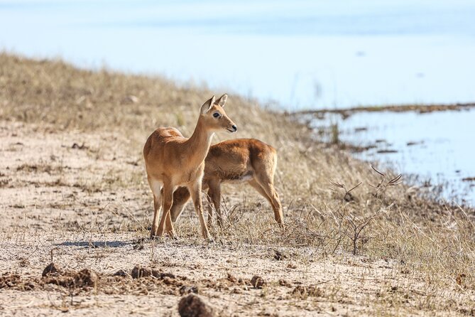 The Mosi Oa Tunya National Park Game Drive - Reviews and Feedback From Participants