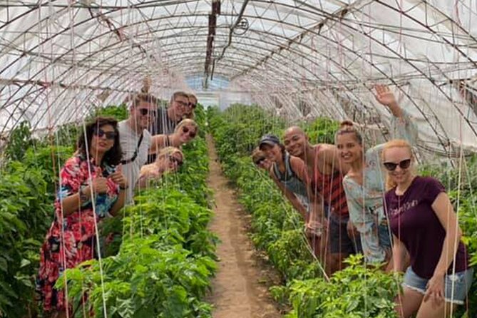 The One&Only Hot Farm Private Tasting Options - Customer Reviews and Ratings