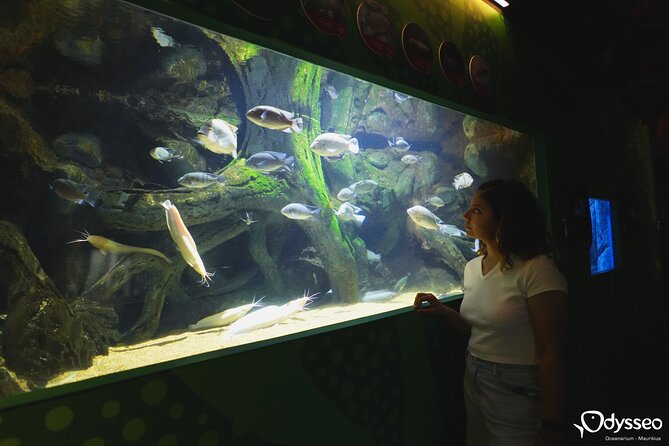 Ticket to the Largest Oceanarium of the Mascarene Islands - Ticket Inclusions