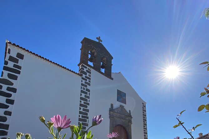 Tour of the Senses Through the South of Tenerife With Wine Tasting - Age Requirement and Traveler Limit