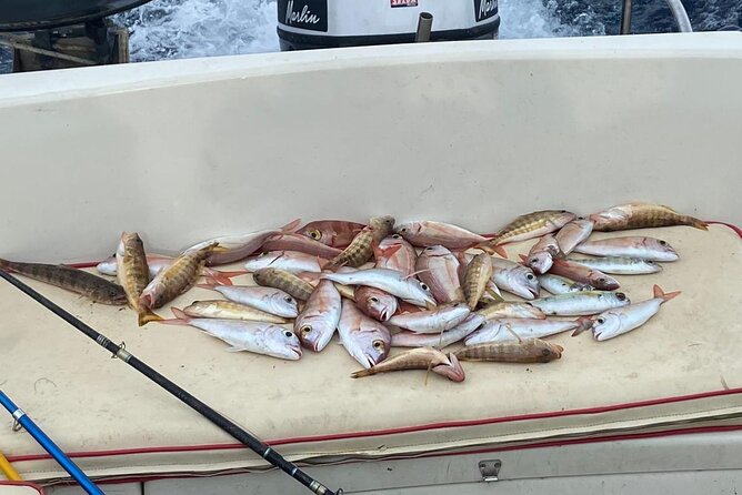Traditional Fishing Experience in Zakynthos - Pickup and Meeting Options