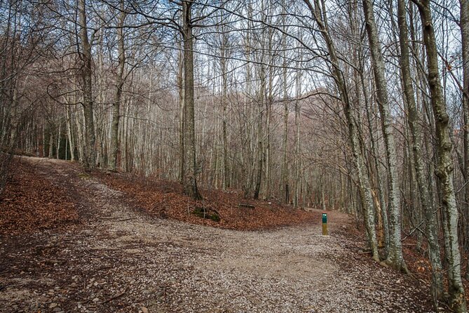 Trekking Experience in Montseny From Barcelona - Meeting Point Details