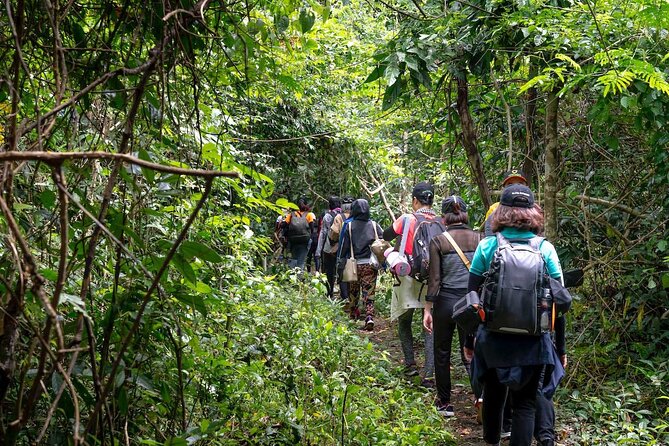 Trekking in Portugal: Serra De Sintra Natural Park - Pickup Information