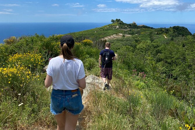 Trekking on the Top of Epomeo Mont in Ischia With Local Guide - Group Size and Booking Details