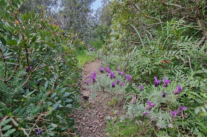 Trekking to Capo Marrargiu Nearby Bosa From Alghero - Additional Information