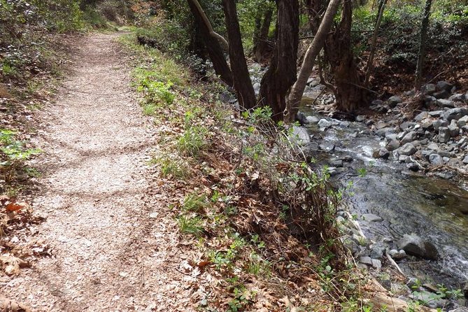 Troodos Walking Trip (Artemis+/Myllomeris Waterfalls) - Private From Limassol