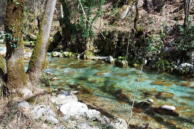 Trout Fishing in Turkey - Additional Details