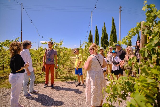 Tuscan Pisa, Siena and San Gimignano With Lunch & Wine Tasting - Terms and Conditions
