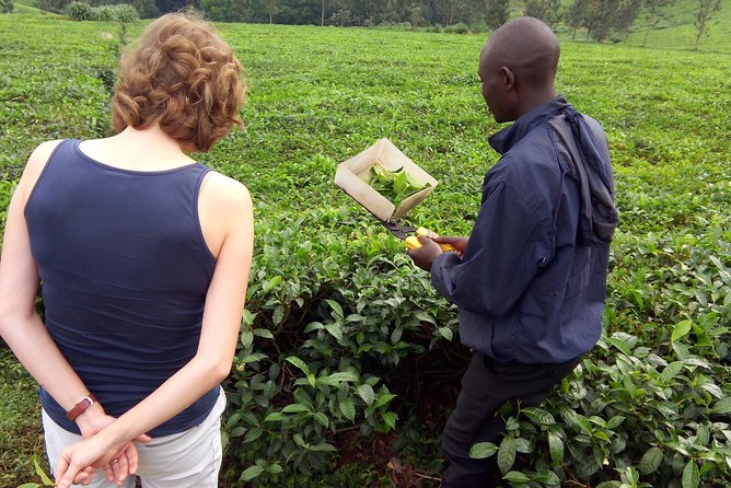 Twelve Days Amazing Tour in Uganda - Pricing and Lowest Price Guarantee