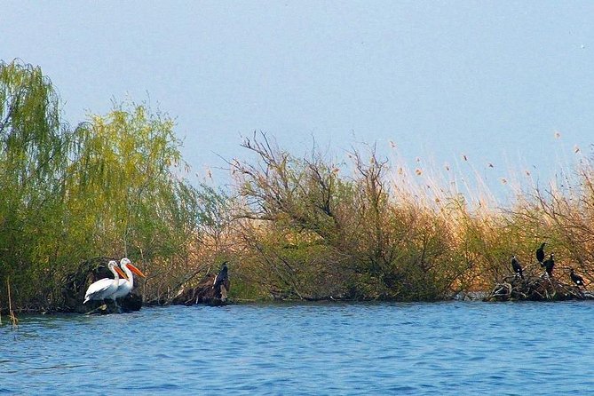 Two-day Birding Trip: Cape Kaliakra & Srebarna Lake - The Sum Up and Departure