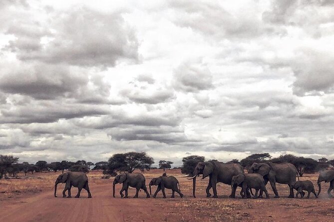 Two Days Trip to Selous/Nyerere National Park Fly From Zanzibar - Booking Information