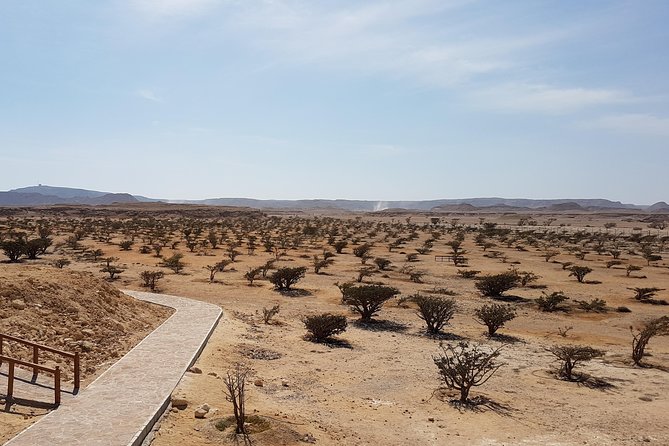 UNESCO World Heritage Sites - Land of Frankincense - Salalah Oman - Explore Al Balid Archaeological Sites