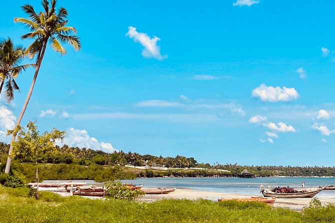Unique Culture and Nature Tour in Authentic Zanzibar Village - Good To Know