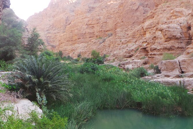Unveiling the Hidden Paradise Wadi Shab Expedition - Weather and Accessibility