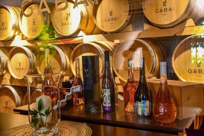 Unveilling the Essence: Gabai Winerys Captivating Wine Tours - Accessibility and Recommendations