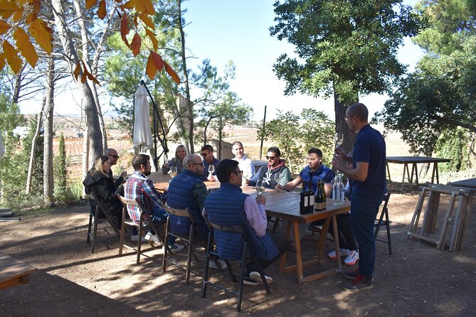 Utiel-Requena Excursion: Uncover the Flavors of Valencias Wine - Return Journey and Farewell