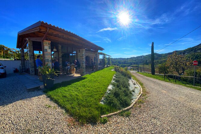 Valle Del Sole Tour and Tasting of Our Top Wines - Winery Facilities
