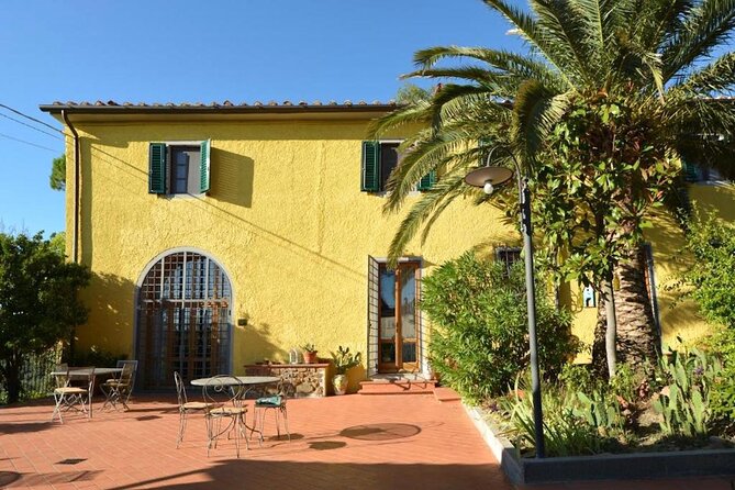 Vinci: Wine Tasting & Local Tuscan Food Dinner - Start Time: 07:00 Pm
