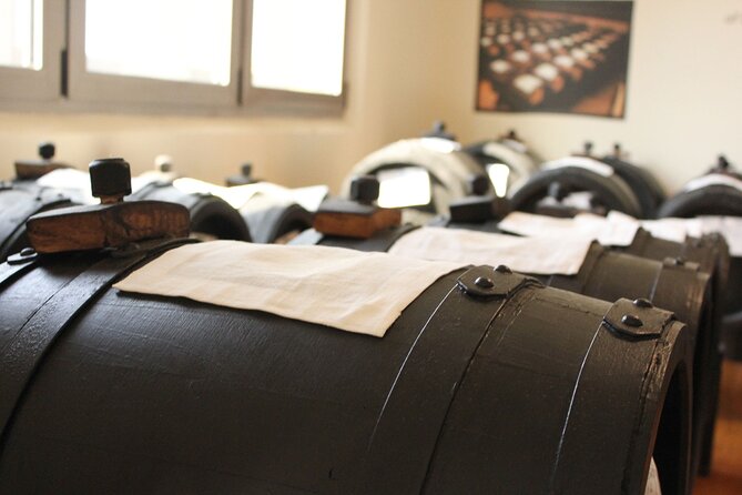 Vinegar Tour and Tasting With a Local in Modena - The Sum Up