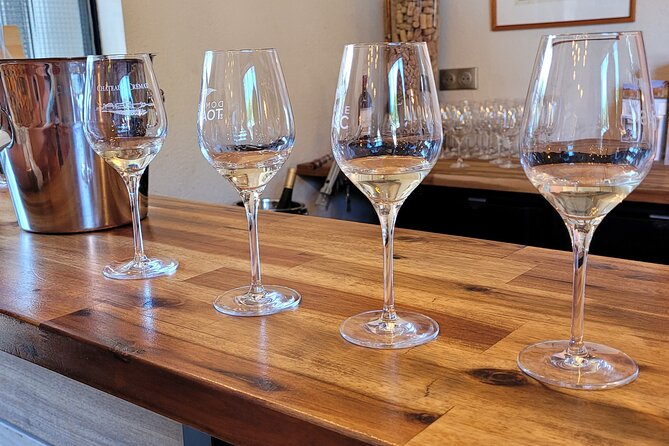Visit Mademojson Castle and Enjoy a Wine Tasting Experience on the Hillsides of Nice - Weather Contingency