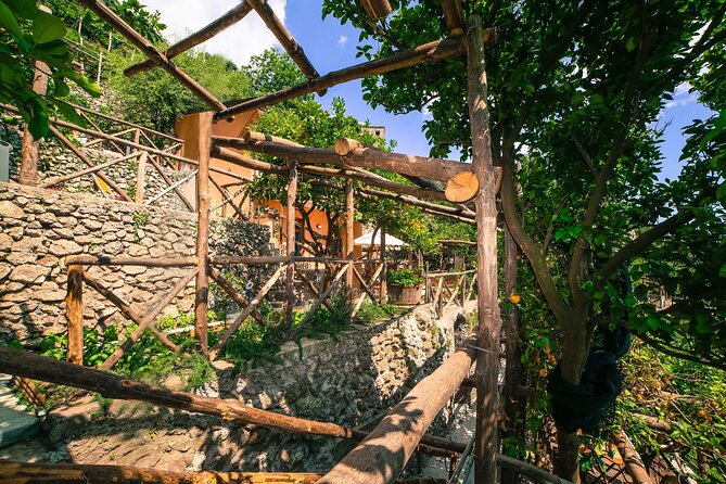 Visit to a Lemon Grove on the Amalfi Coast With Tasting - Cancellation Policy