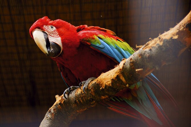 Vltava River Boat Trip and Zoo Entrance Ticket in Prague - Frequently Asked Questions