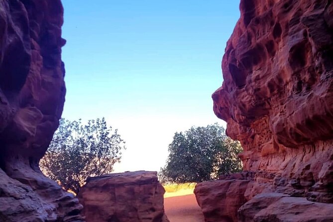 Wadi Rum Full Day Jeep Tour + Overnight & Dinner in Bedouin Camp - Guest Reviews and Testimonials