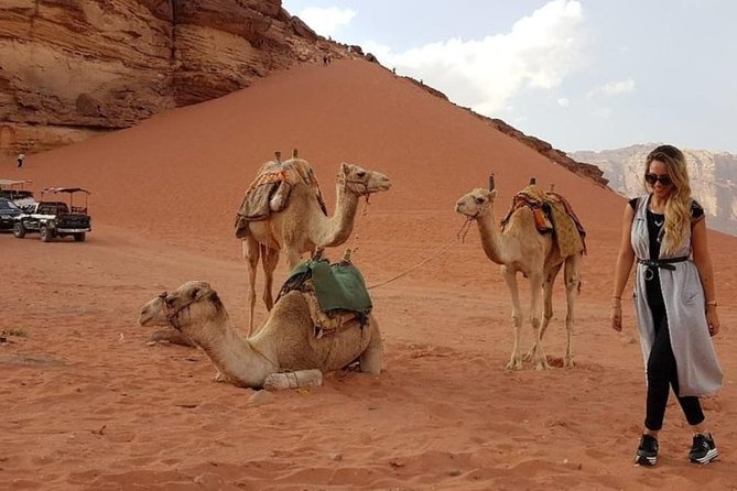 Wadi Rum Private Transfer to or From Amman or Airport - Customer Reviews