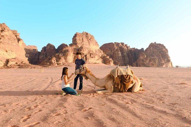 Wadi Rum Shore Excursion Aqaba Port