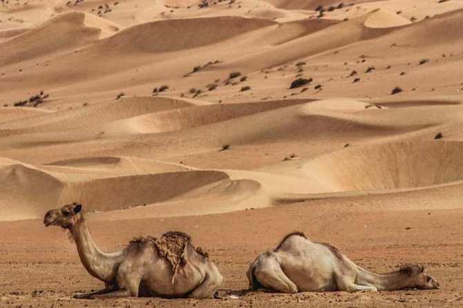 Wahiba Sands Tour With Wadi Bani Khalid Tour (Price per Vehicle) - Customer Reviews