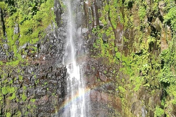 Walking Around Moshi - Hiking the Majestic Mount Kilimanjaro