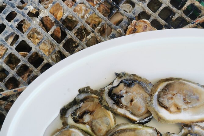 Walking & Boat Tour - Visit Ston Walls and Taste Shells on Farm - Cancellation Policy