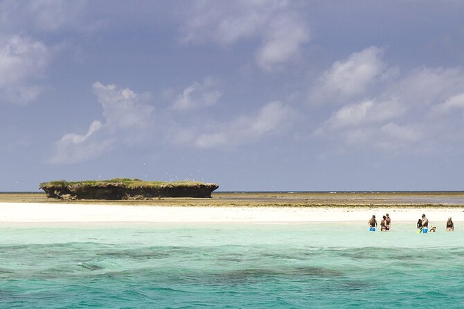 Wasini Dolphin Snorkeling - Frequently Asked Questions