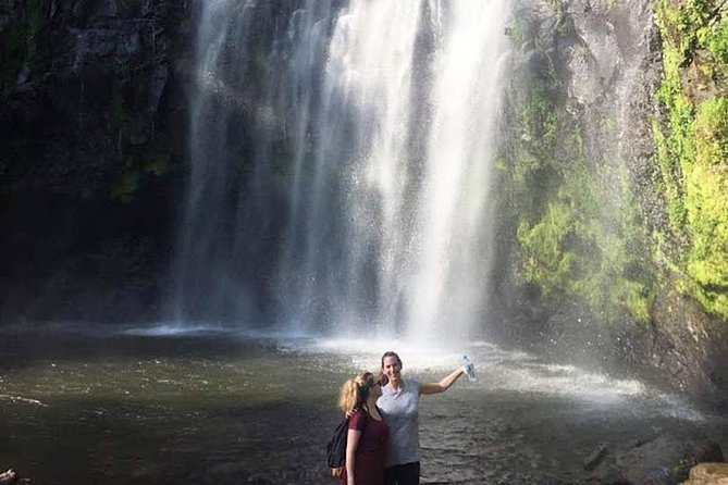 Waterfall & Coffee Walking Tour - Review Highlights
