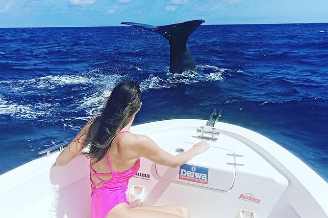 Whale Dream Ltd - Whale Watching and Swim With Dolphins - Reviews