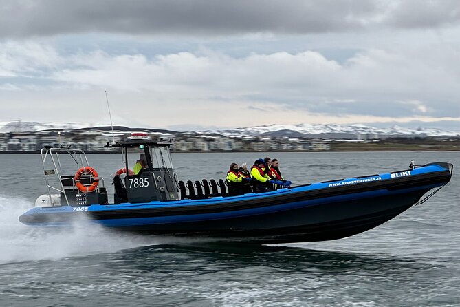 Whale Watching - RIB Boat Adventure in Kopavogur, Iceland - Essential Equipment Provided